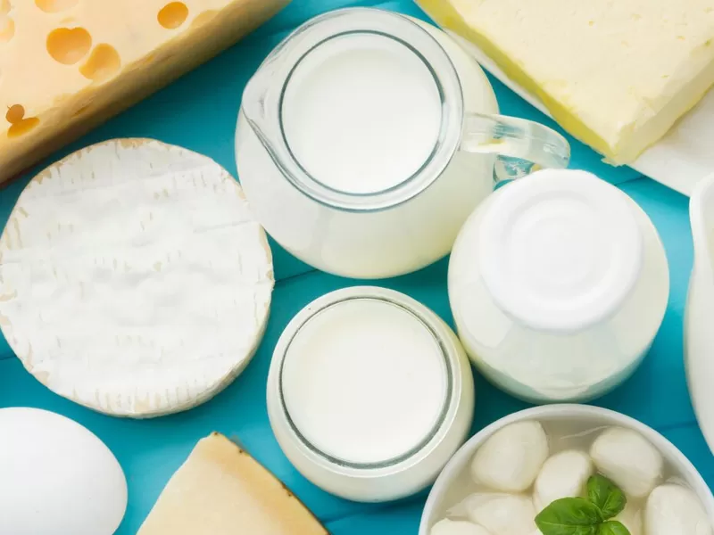 Cheese and yogurt