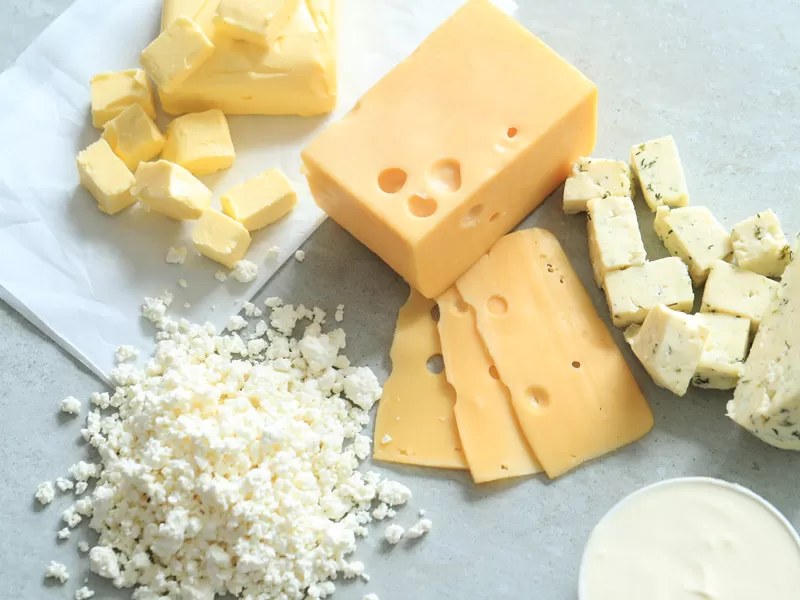 Cheese