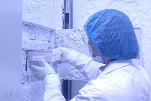 Laboratorio