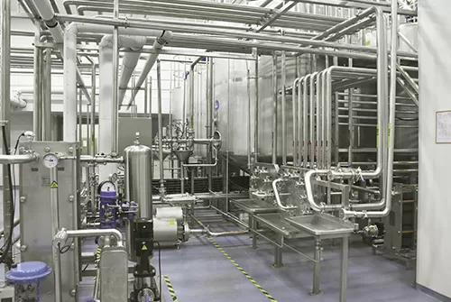 where to buy rennet for making cheese